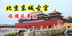 裸女爱爱中国北京-东城古宫旅游风景区